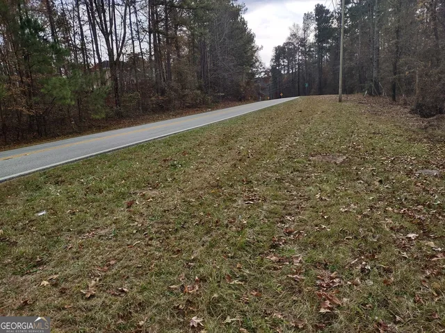 a view of a yard with a tree