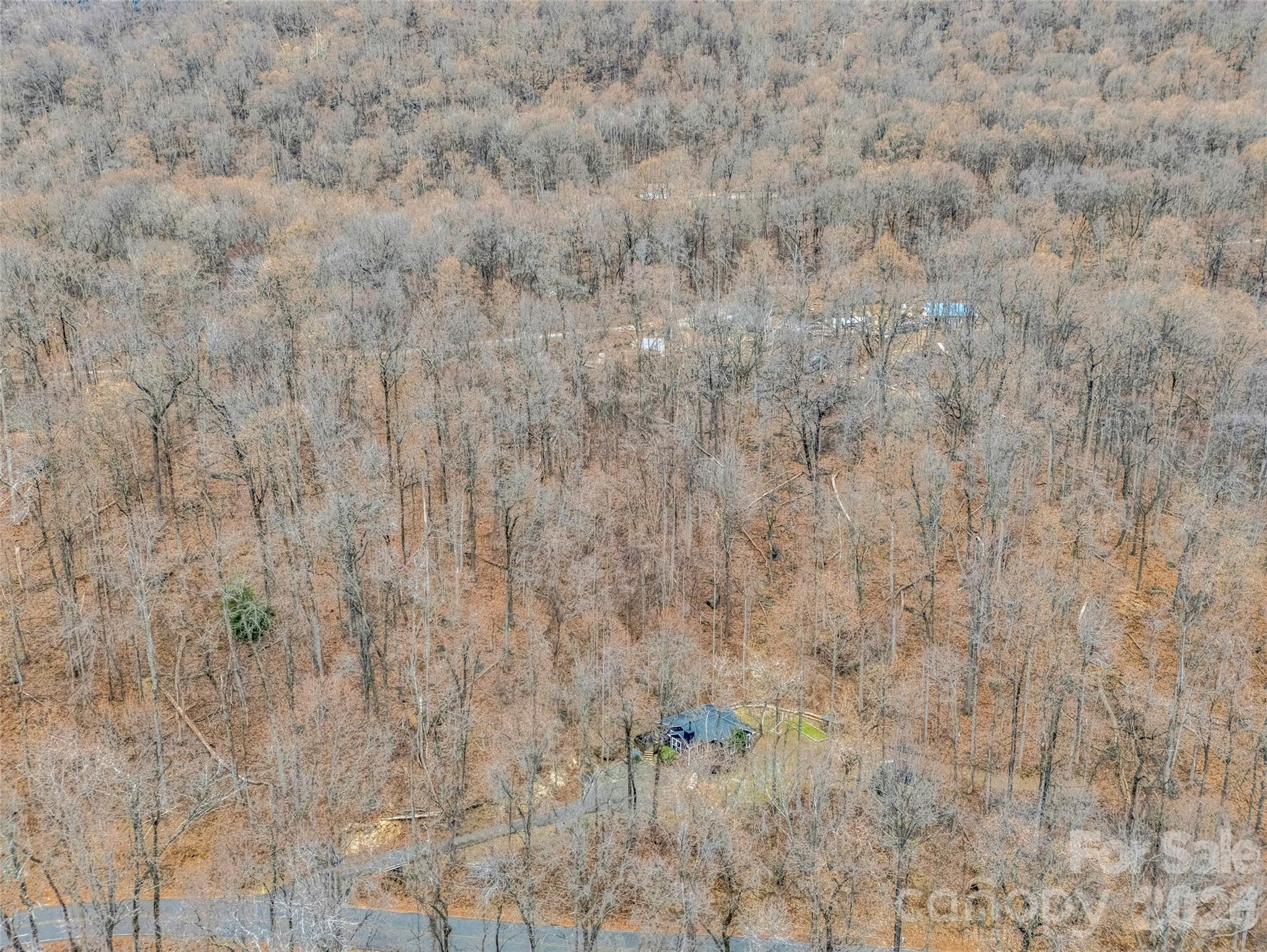 1586 Skyuka Mountain Road Columbus, NC 28722 - Photo 44 of 48