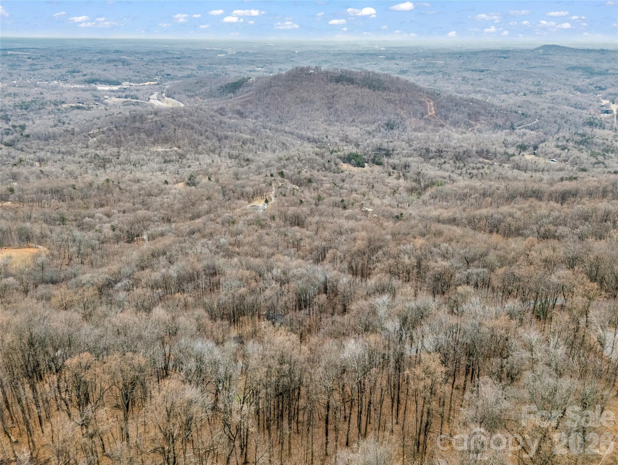 1586 Skyuka Mountain Road Columbus, NC 28722 - Photo 47 of 48