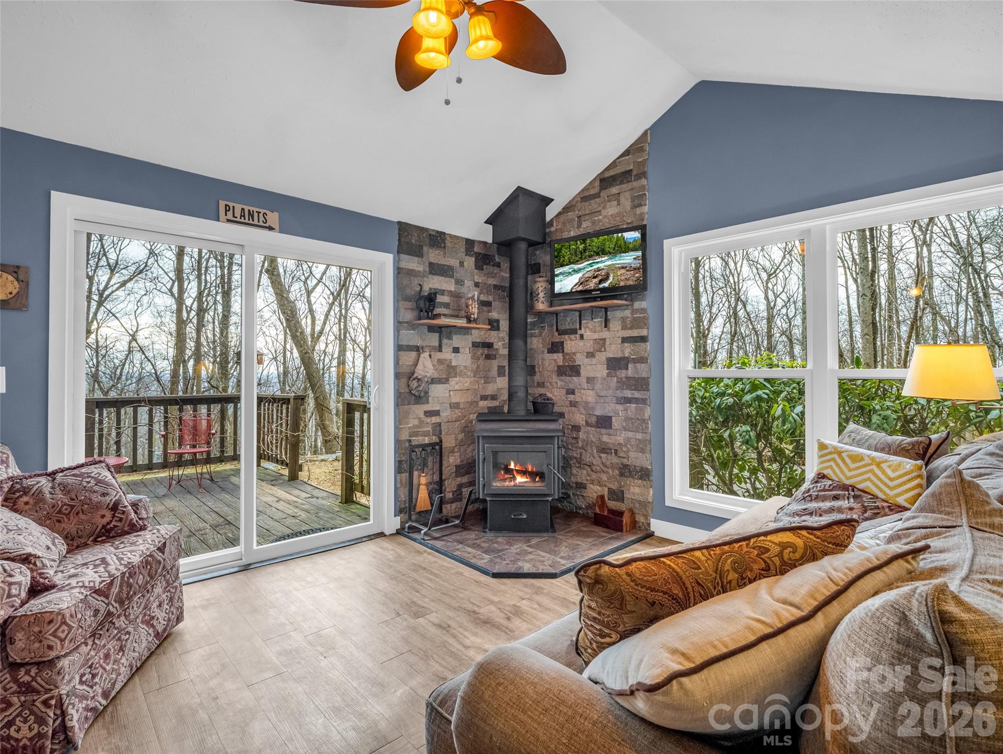 1586 Skyuka Mountain Road Columbus, NC 28722 - Photo 5 of 48