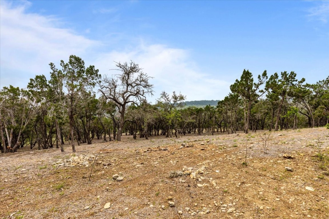 4519 Crawford Road Spicewood, TX 78669 - Photo 5 of 9 Mature trees and native terrain define this expansive, undeveloped lot with distant mountain views.