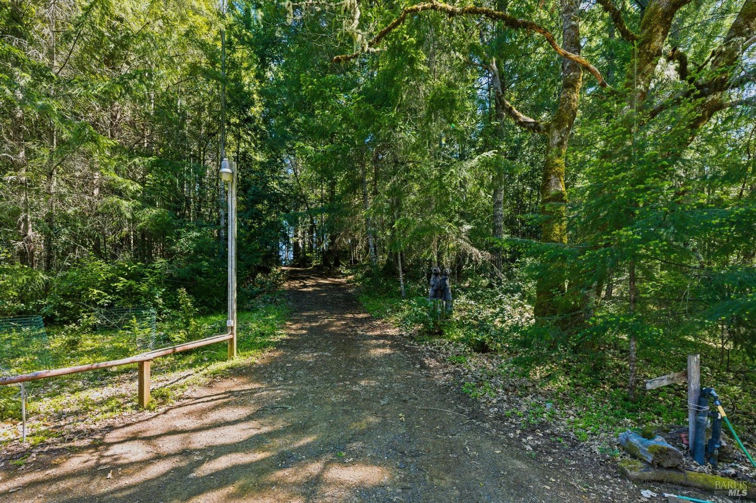 31300 Sherwood Road Willits, CA 95490 - Photo 52 of 57
