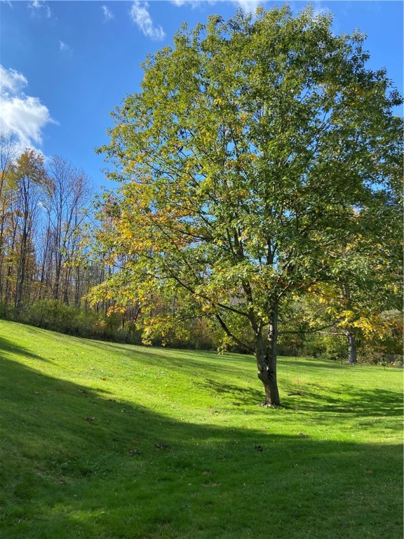 194 Warner Road Norwich, NY 13815 - Photo 45 of 46