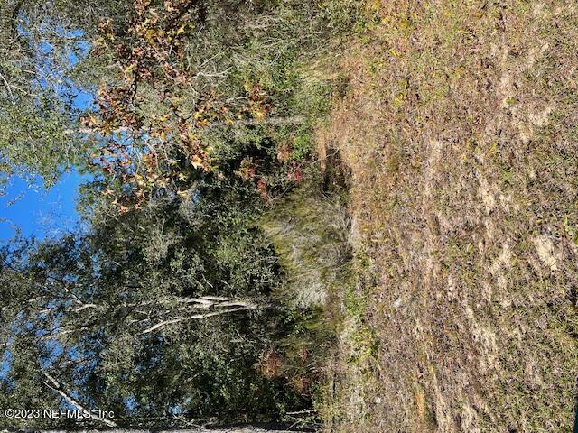 104 Oak Way Interlachen, FL 32148 - Photo 1 of 1 Wooded Area