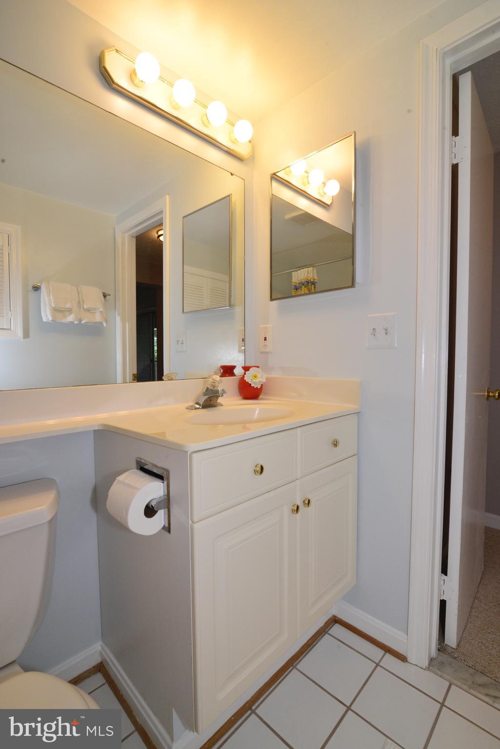 1301 Wedgewood Manor Way Reston, VA 20194 - Photo 50 of 55 Lower level full bath