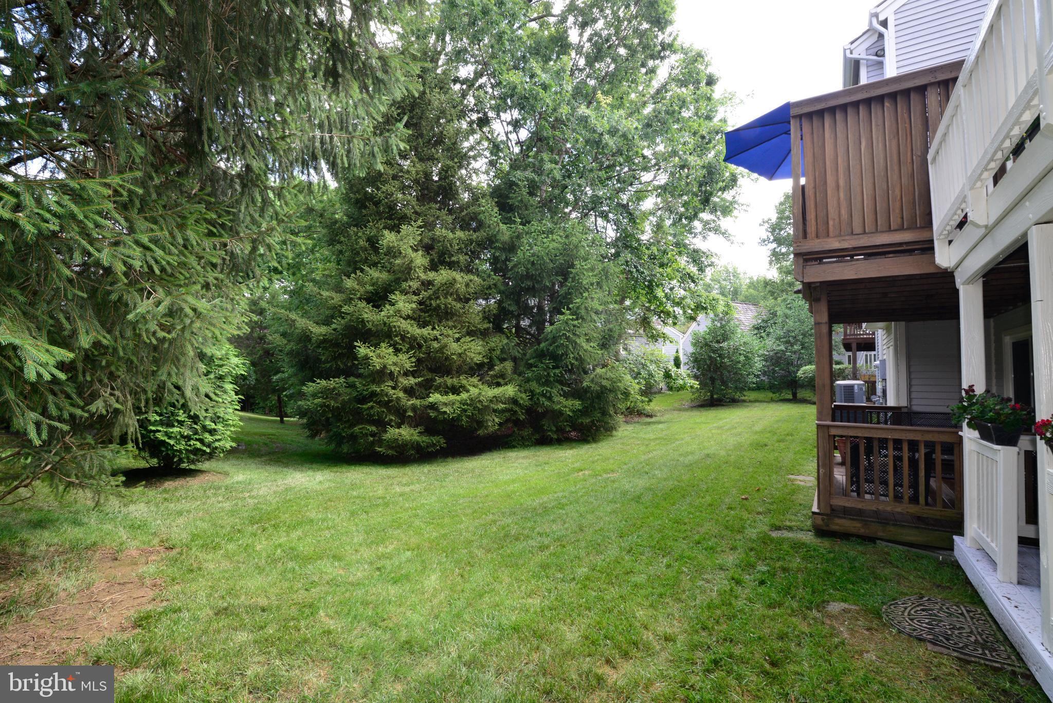 1301 Wedgewood Manor Way Reston, VA 20194 - Photo 53 of 55 Back yard space for play!
