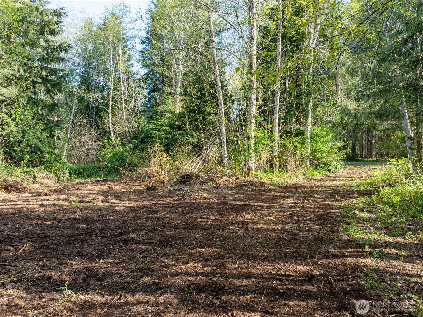0 Davis Lake Road Morton, WA 98356 - Photo 19 of 25