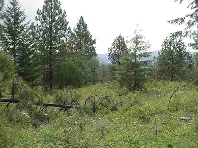 - Hayley's Way Springdale, WA 99173 - Photo 2 of 4