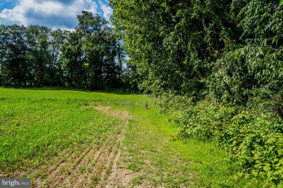 520 Codorus Furnace Road Mount Wolf, PA 17347 - Photo 25 of 114 Gallery Image 25