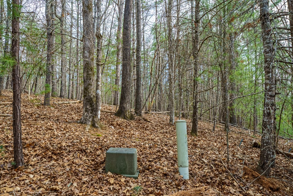 Lot 6 Hampton Road Morganton, GA 30560 - Photo 16 of 16 Gallery Image 16