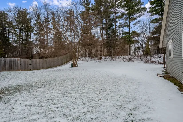 a view of a yard with a tree