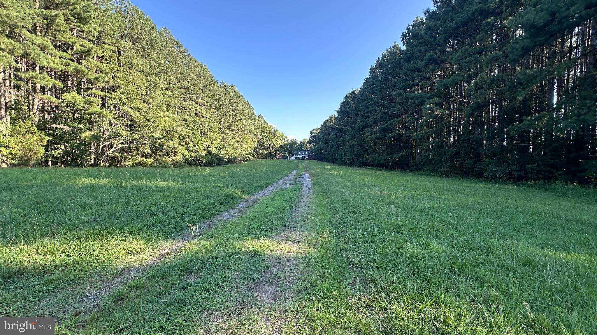 2788 Great Oak Road Warfield, VA 23889 - Photo 67 of 68 long driveway