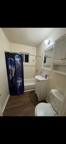 a bathroom with a toilet sink and mirror