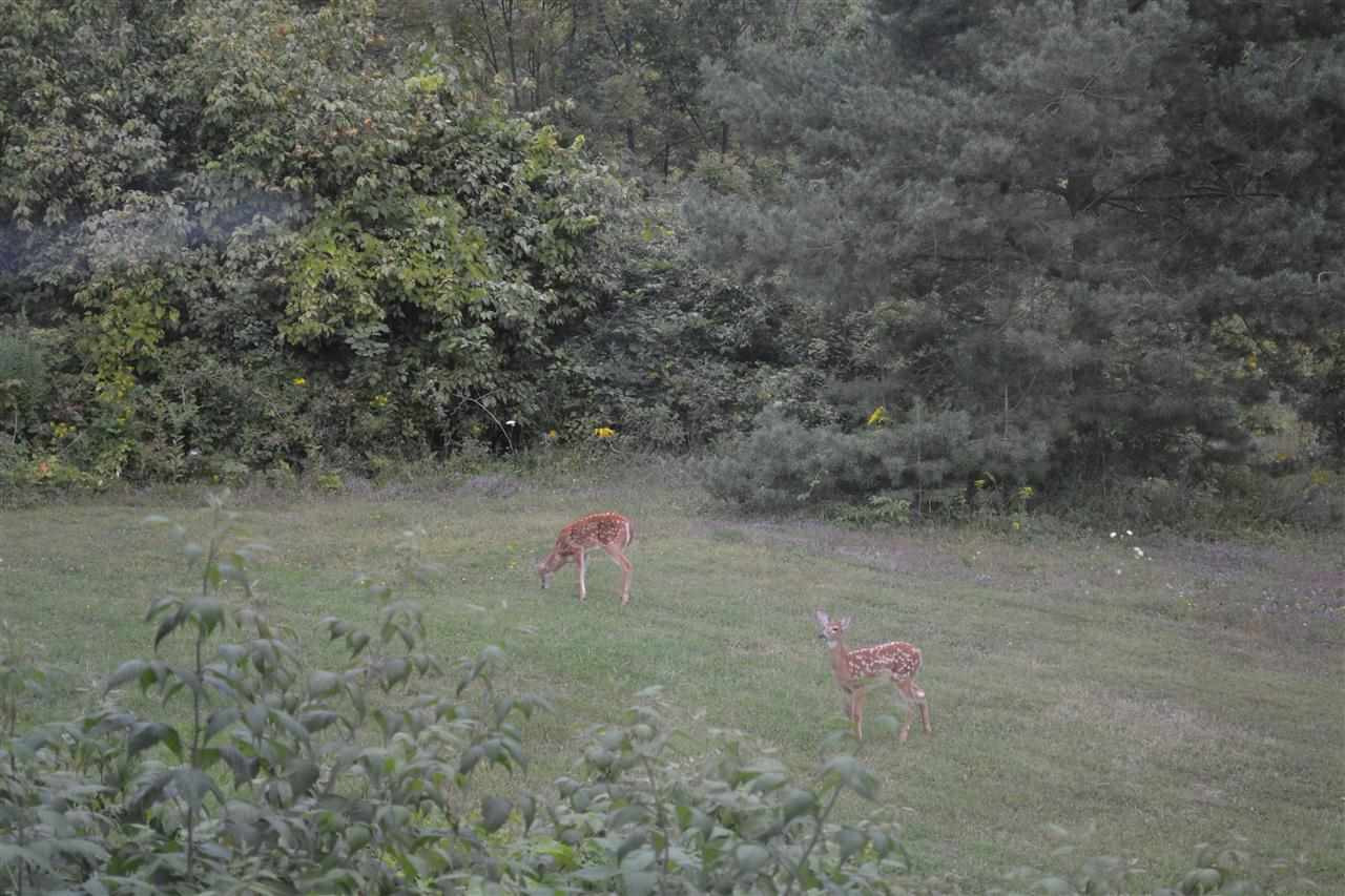 209 Three Track Mountain Road Warnerville, NY 12187 - Photo 25 of 25 Photo 25