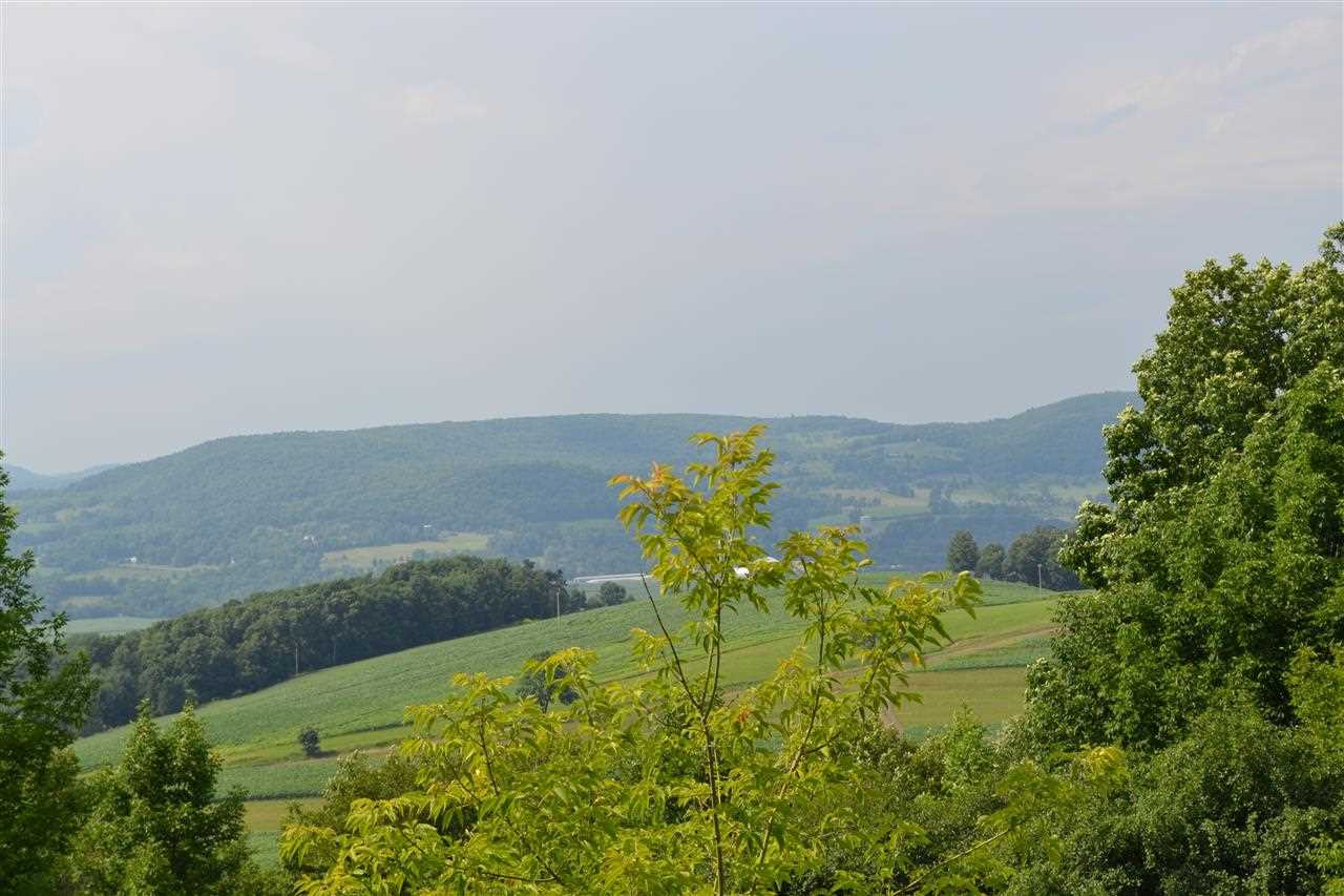 209 Three Track Mountain Road Warnerville, NY 12187 - Photo 3 of 25 Photo 3