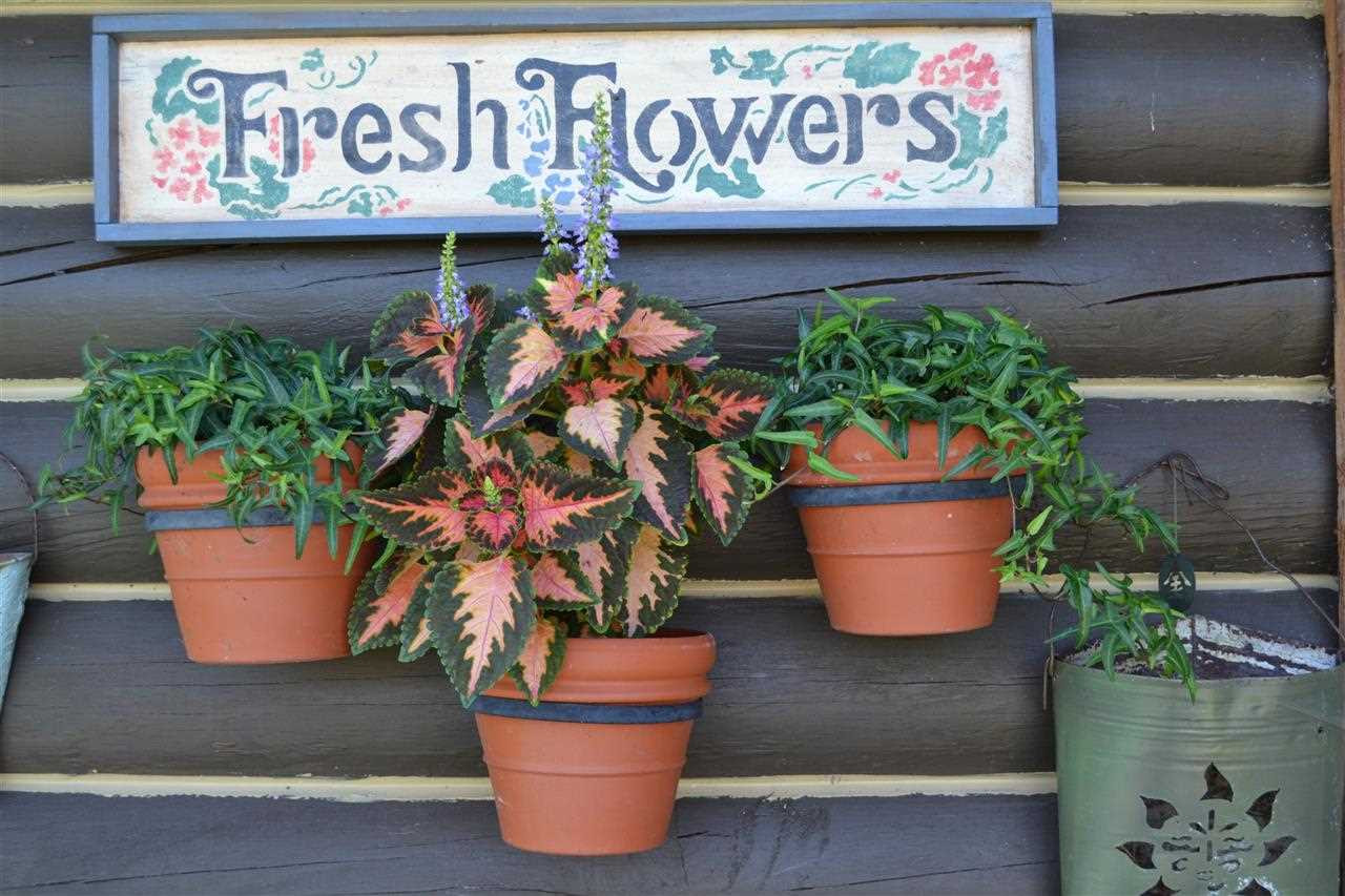 209 Three Track Mountain Road Warnerville, NY 12187 - Photo 8 of 25 Photo 8
