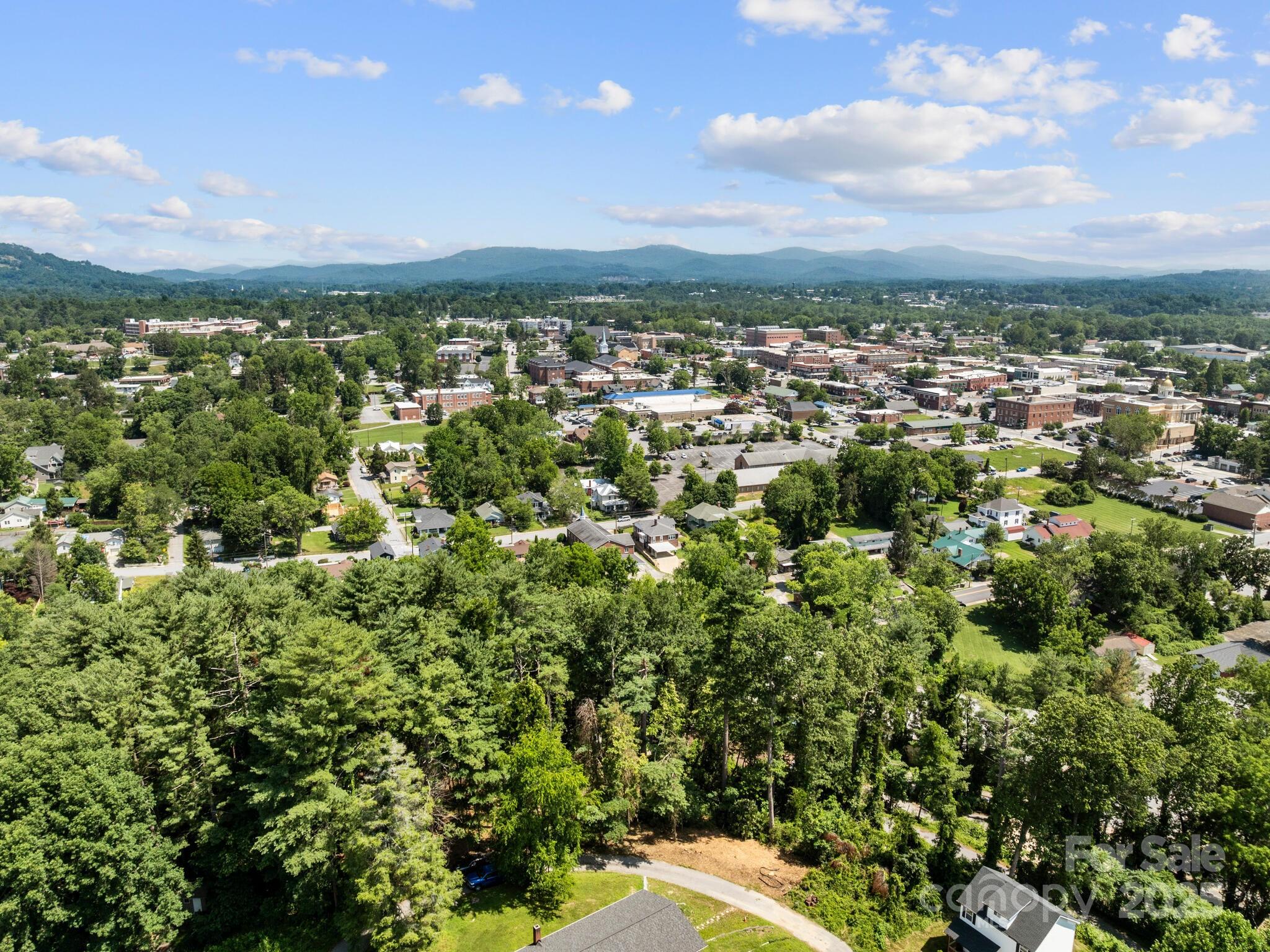 0 Summit Circle, Unit 17 Hendersonville, NC 28739 - Photo 21 of 22