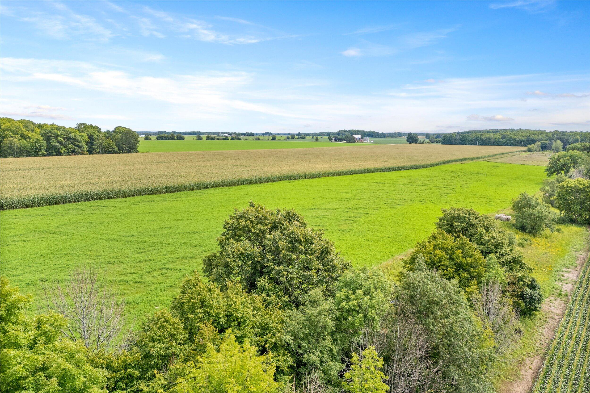 Lt0 Clark Lake Road Sturgeon Bay, WI 54235 - Photo 12 of 25 21-Hay and Corn