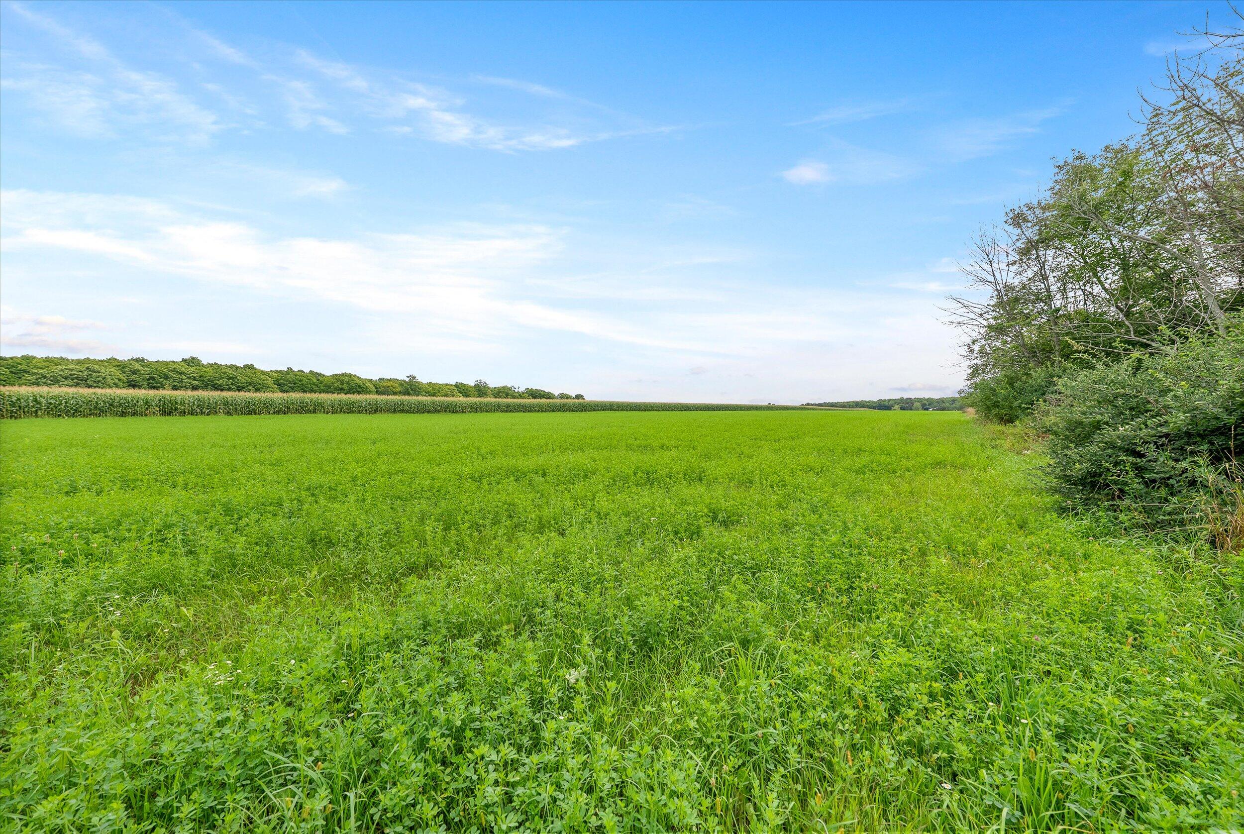 Lt0 Clark Lake Road Sturgeon Bay, WI 54235 - Photo 17 of 25 26-Hay Field