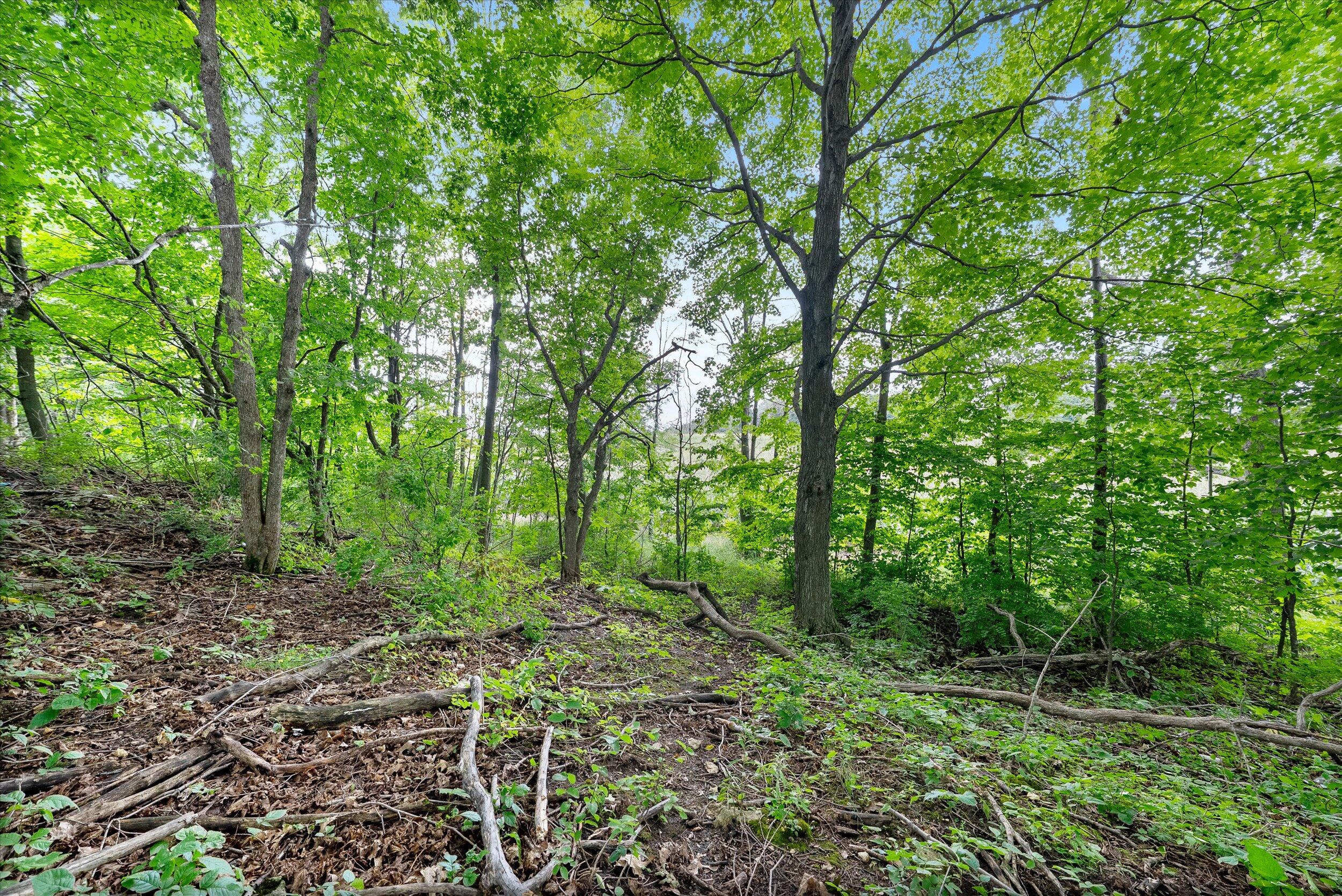 Lt0 Clark Lake Road Sturgeon Bay, WI 54235 - Photo 18 of 25 27-Fence Line