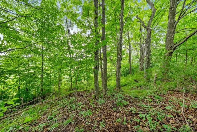 $750,000 | Lt0 Clark Lake Road, Sturgeon Bay, WI 54235