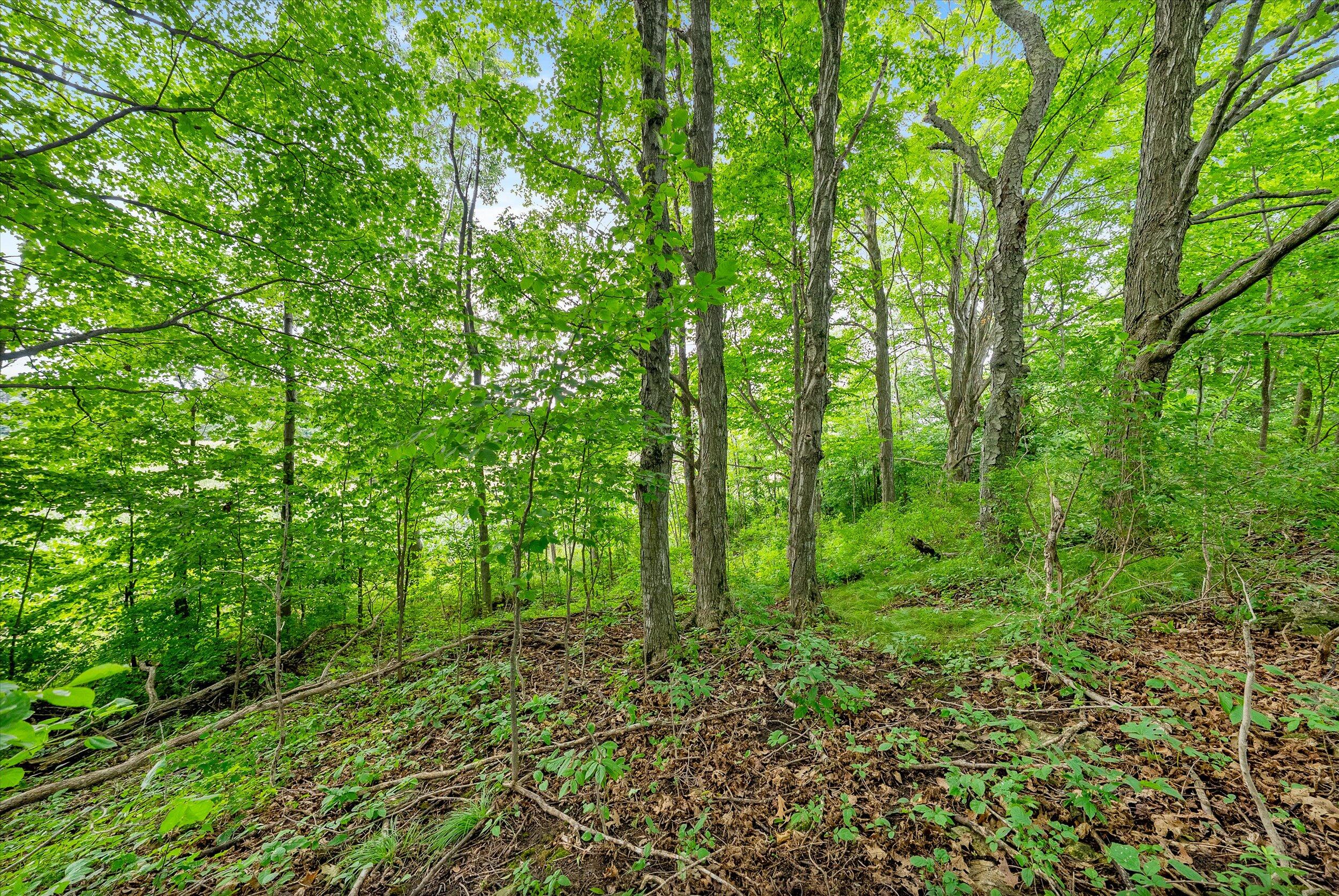 Lt0 Clark Lake Road Sturgeon Bay, WI 54235 - Photo 19 of 25 28-Fence Line