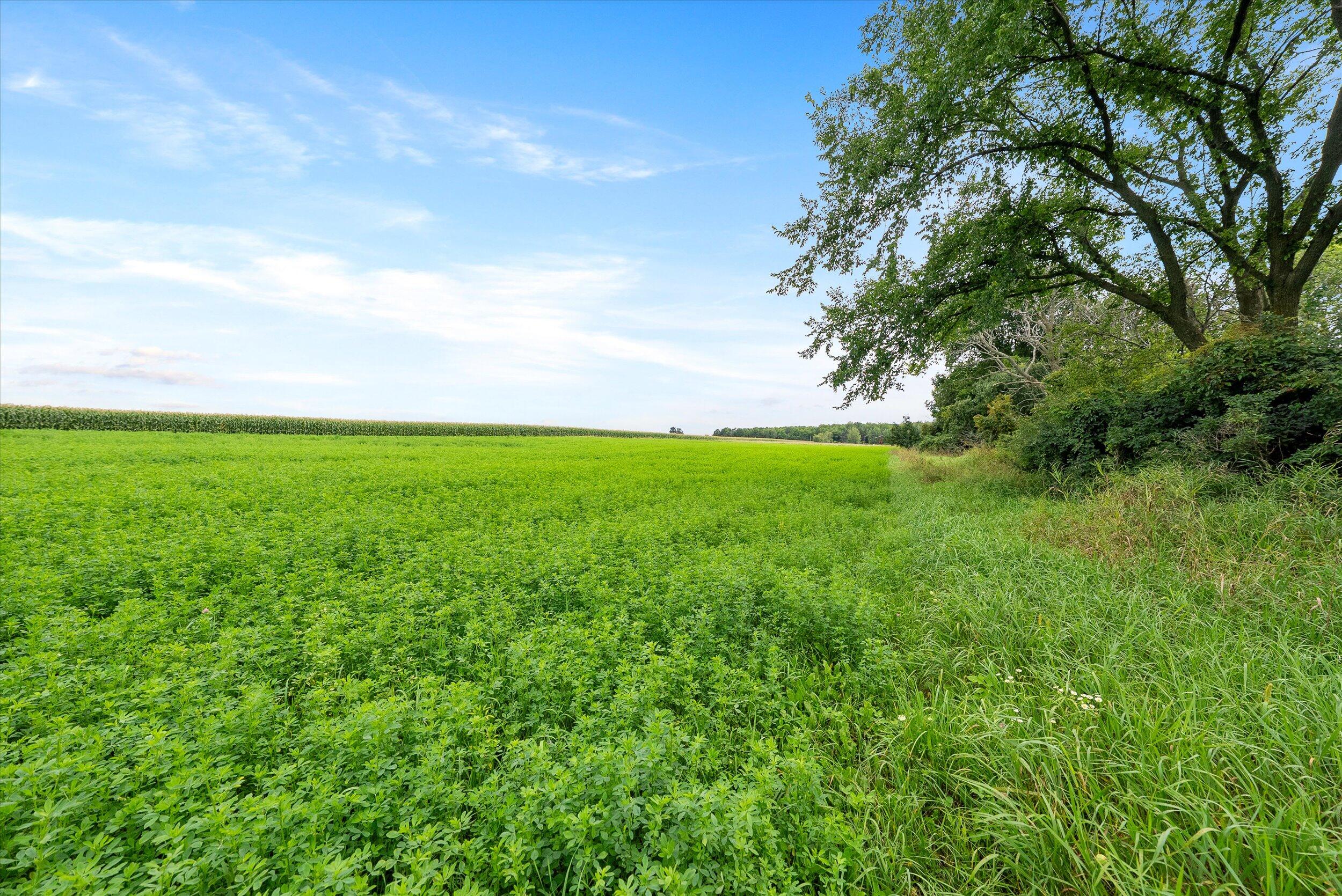Lt0 Clark Lake Road Sturgeon Bay, WI 54235 - Photo 21 of 25 30-Hay Field