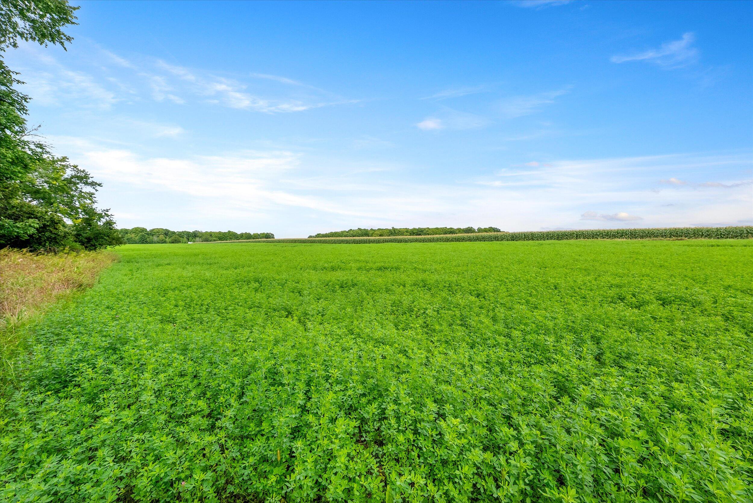 Lt0 Clark Lake Road Sturgeon Bay, WI 54235 - Photo 22 of 25 31-Hay Field