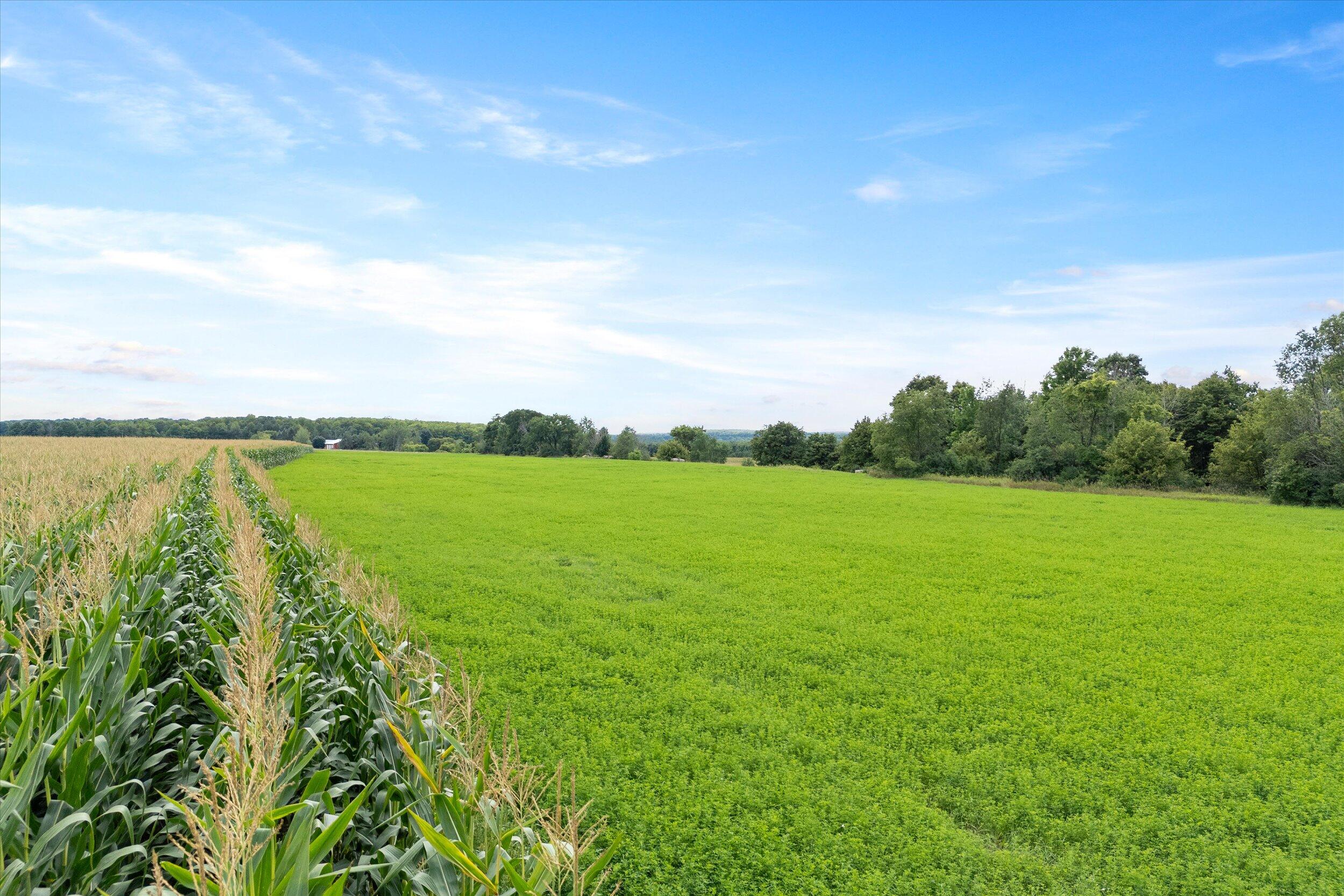 Lt0 Clark Lake Road Sturgeon Bay, WI 54235 - Photo 9 of 25 18-Hay and Corn Field