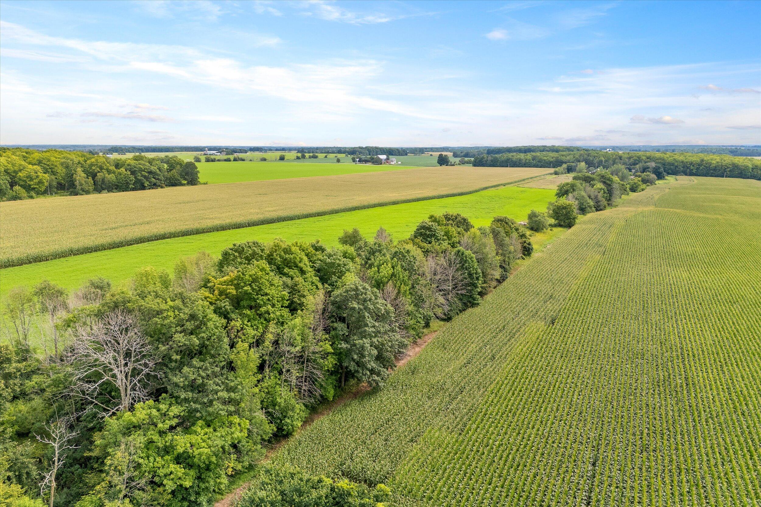 Lt0 Clark Lake Road Sturgeon Bay, WI 54235 - Photo 10 of 25 19-Fence Line
