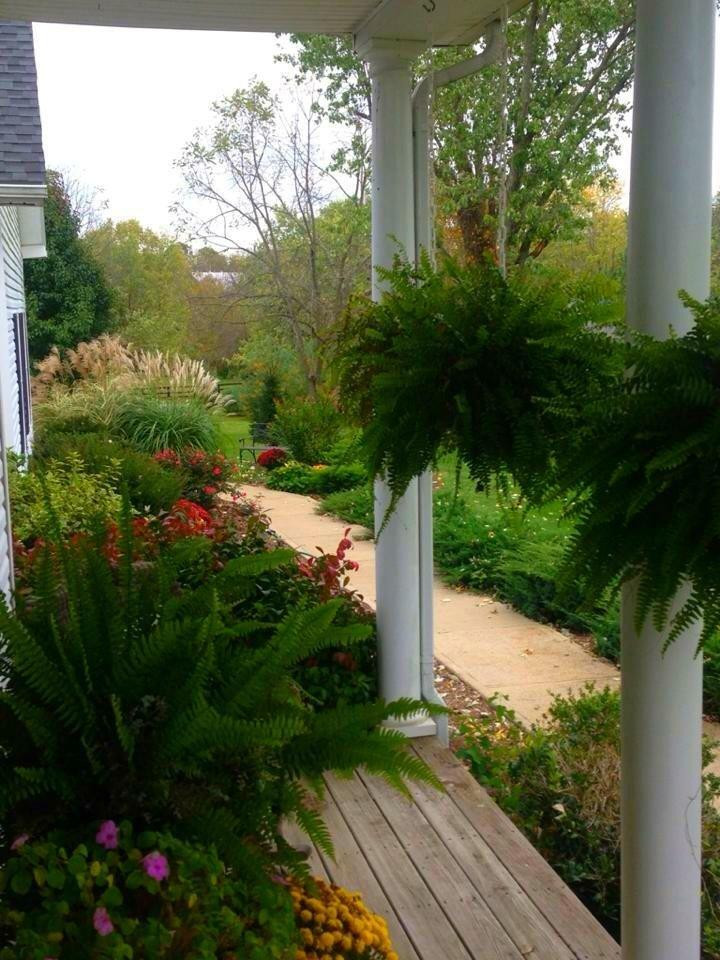 311 Rockridge Road Paris, KY 40361 - Photo 8 of 47 Photo 8