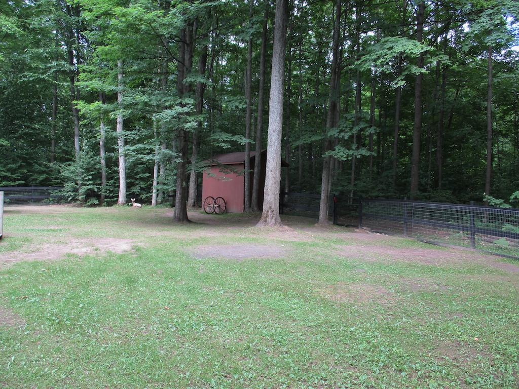 2531 West Krause Road Frederic, MI 49733 - Photo 8 of 33 Gallery Image 8