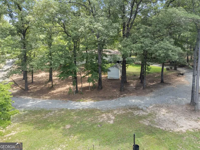 a view of a forest with trees in the background