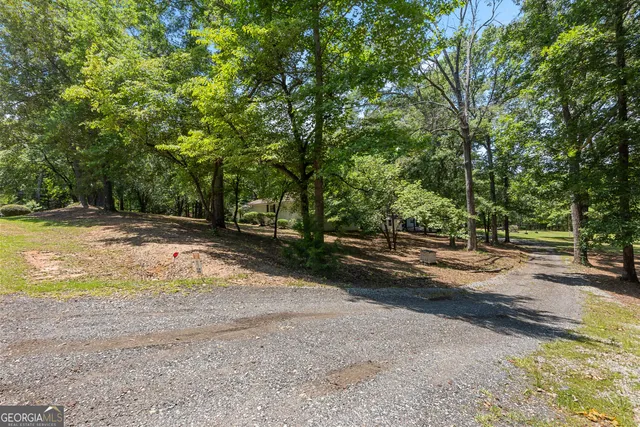 a view of backyard with large trees