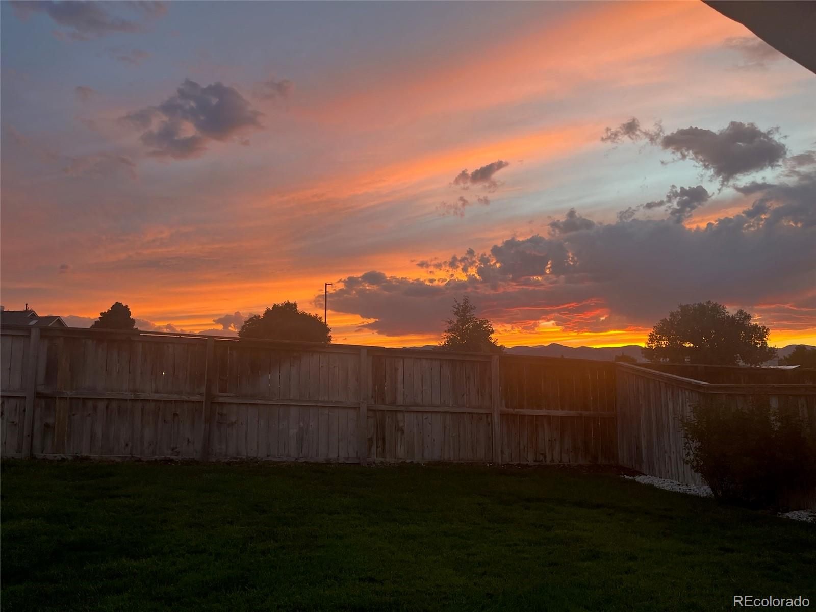 9806 South Castle Ridge Circle Highlands Ranch, CO 80129 - Photo 33 of 36 a view of a backyard