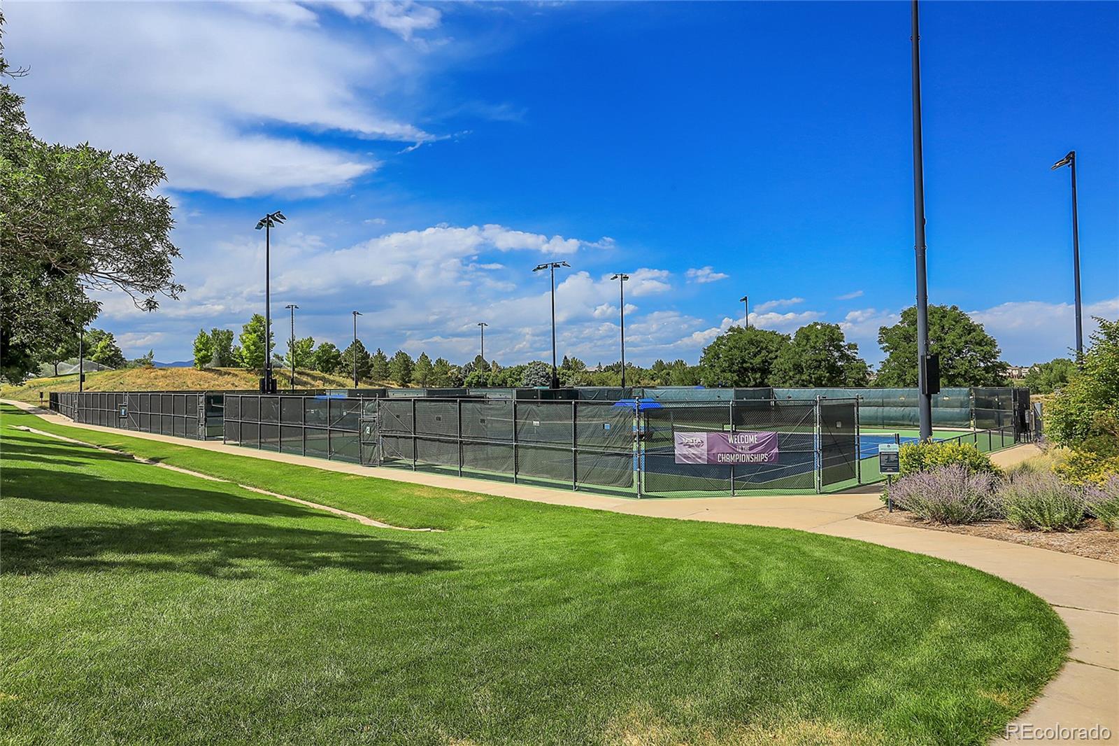 9806 South Castle Ridge Circle Highlands Ranch, CO 80129 - Photo 35 of 36 a view of a park with large trees