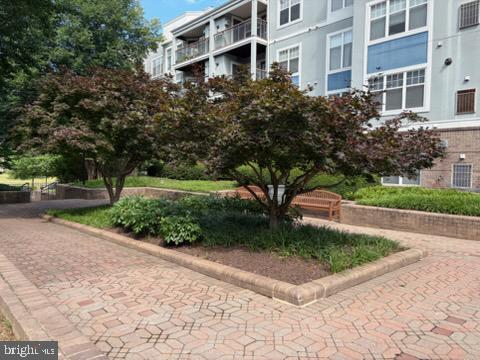 5563 Seminary Road, Unit 202 Falls Church, VA 22041 - Photo 16 of 16 Walking Area