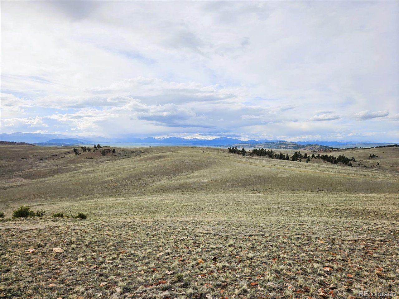 24139 Antero Road Hartsel, CO 80449 - Photo 30 of 35