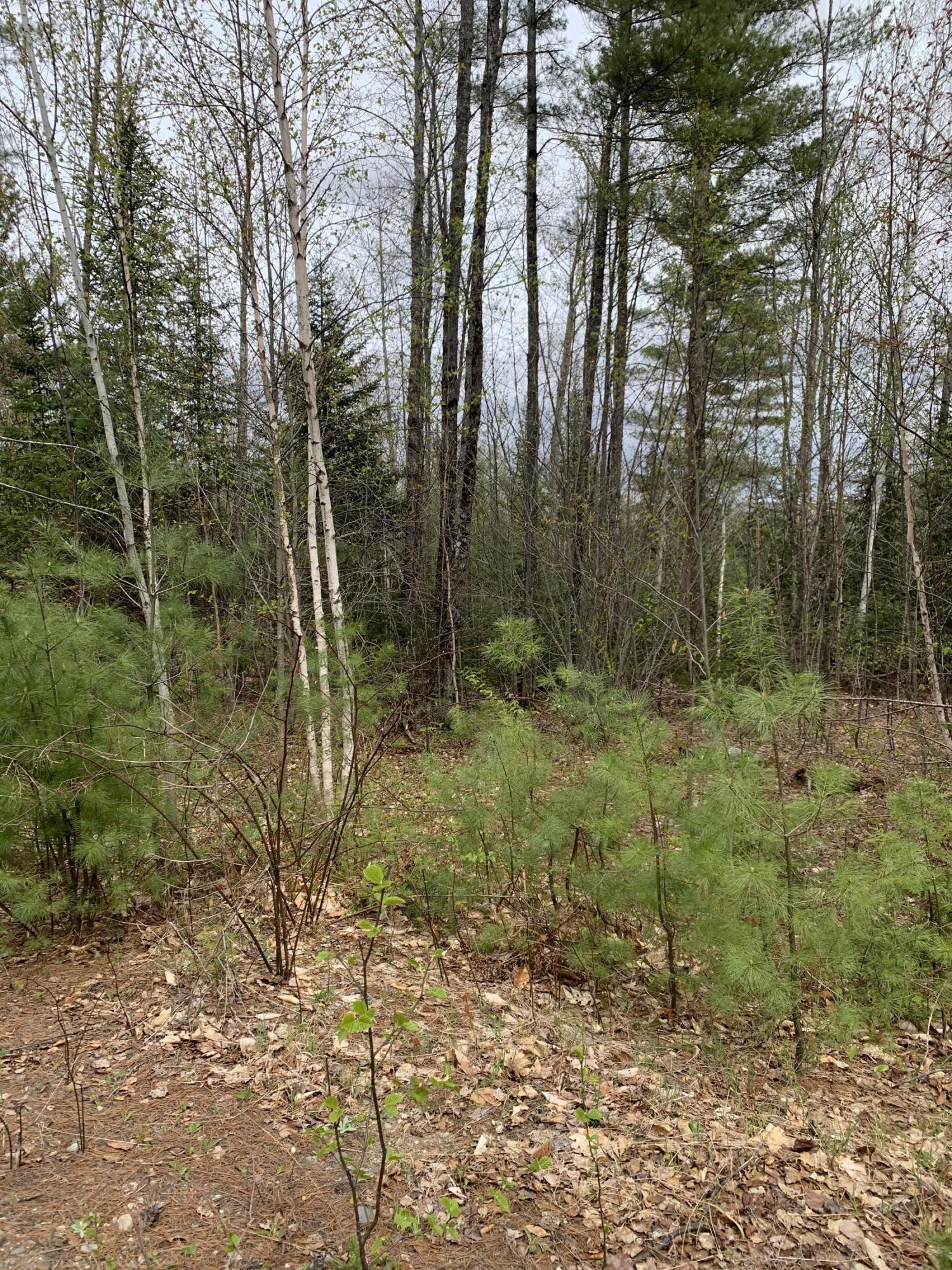 0 Beanies Beach Road, Unit LOT B Strong, ME 04983 - Photo 1 of 17 IMG_7070