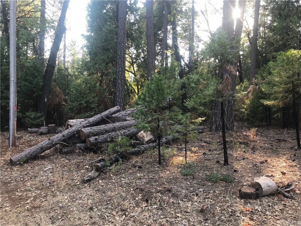 0 Cheri Lane Forest Ranch, CA 95942 - Photo 1 of 1 Gallery Image 1