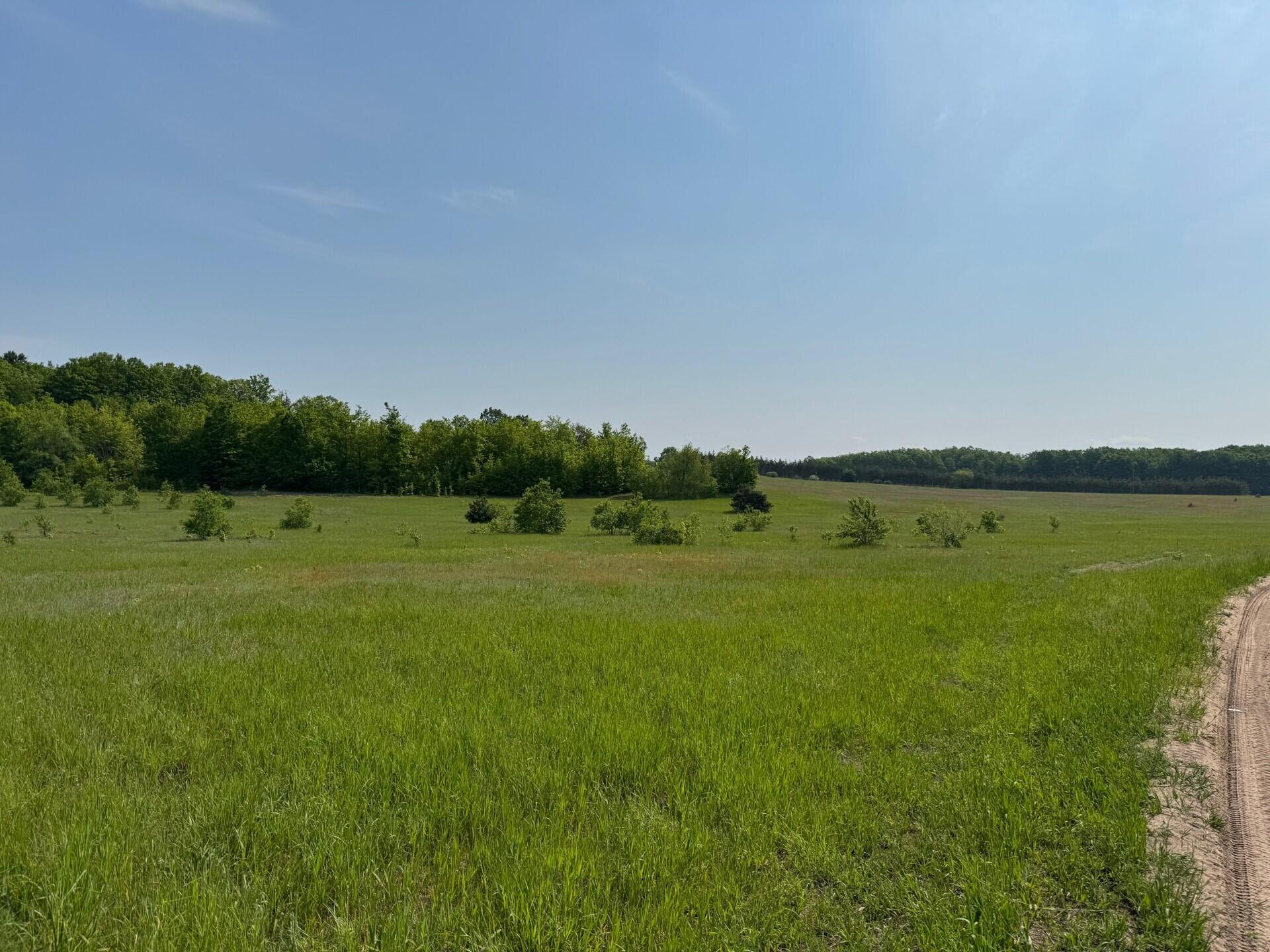 Nichols Road Pellston, MI 49769 - Photo 31 of 32
