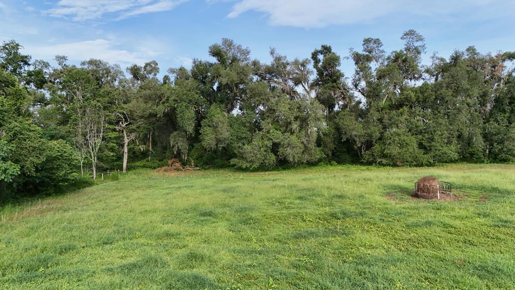 Vacant 145th Road Live Oak, FL 32060 - Photo 21 of 42
