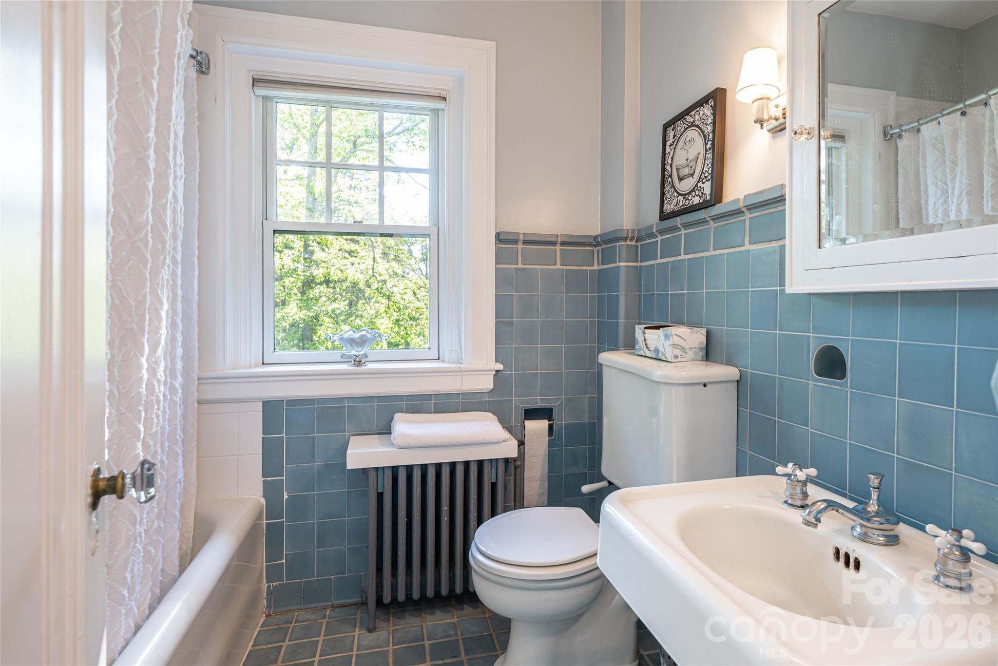 334 Vanderbilt Road Biltmore Forest, NC 28803 - Photo 28 of 48