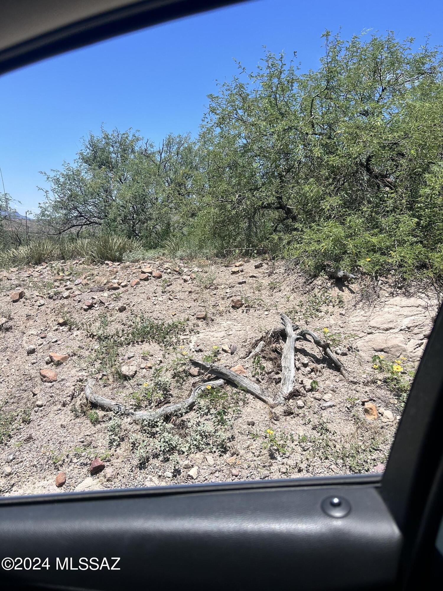 1223 Via Palestra, Unit 10 Rio Rico, AZ 85648 - Photo 1 of 2