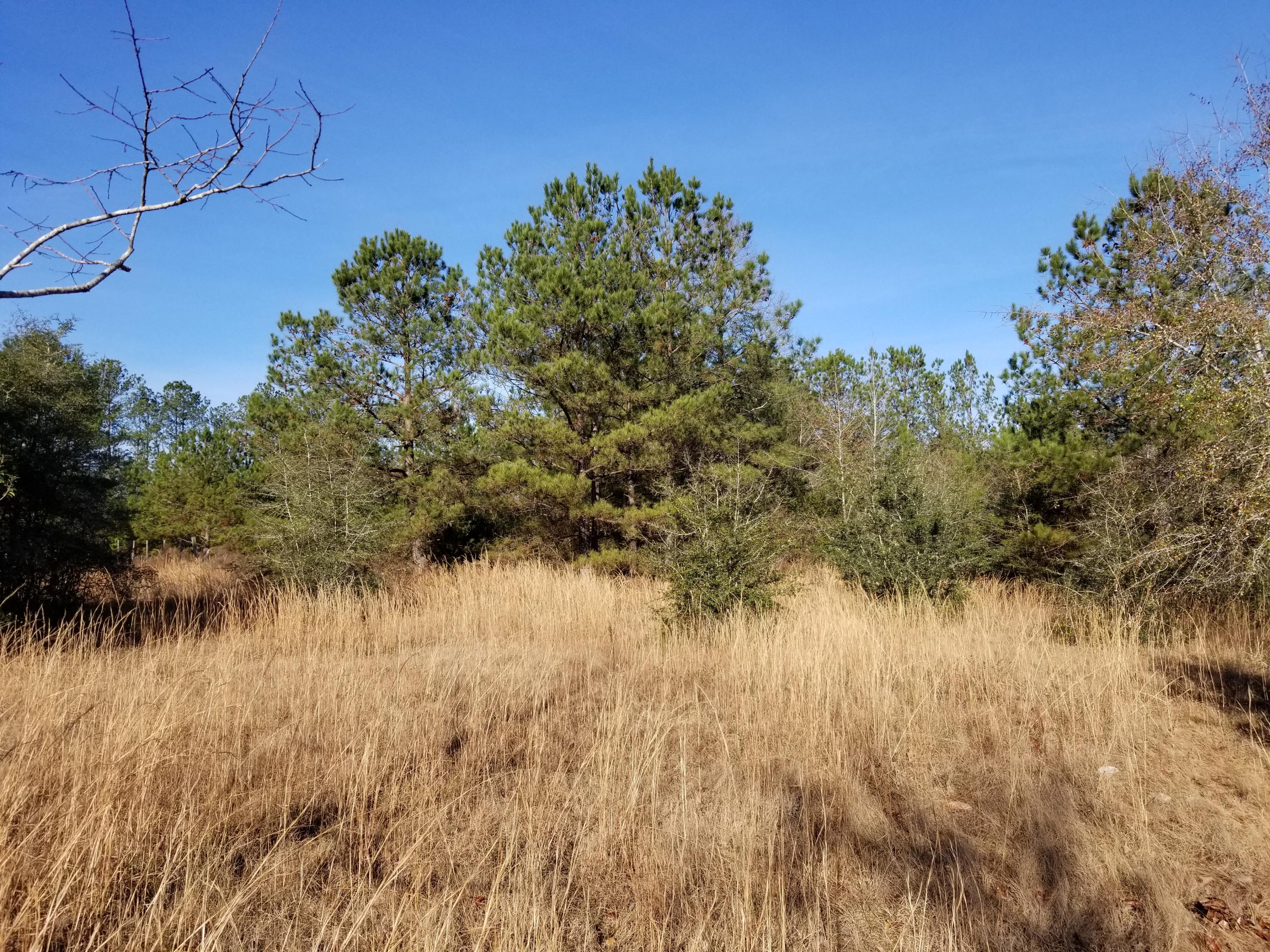 3295 Turpentine Still Road Laurel Hill, FL 32567 - Photo 8 of 11 Gallery Image 8