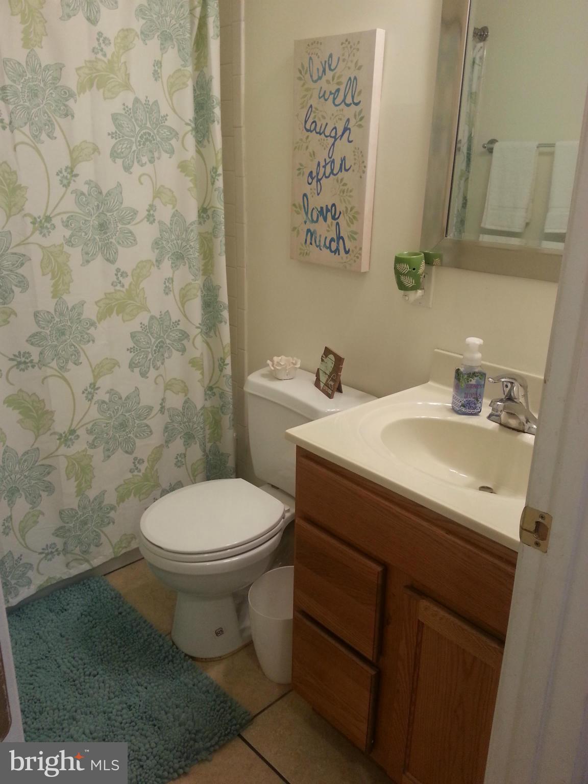 17610 Homewood Road Hagerstown, MD 21740 - Photo 20 of 26 Bath