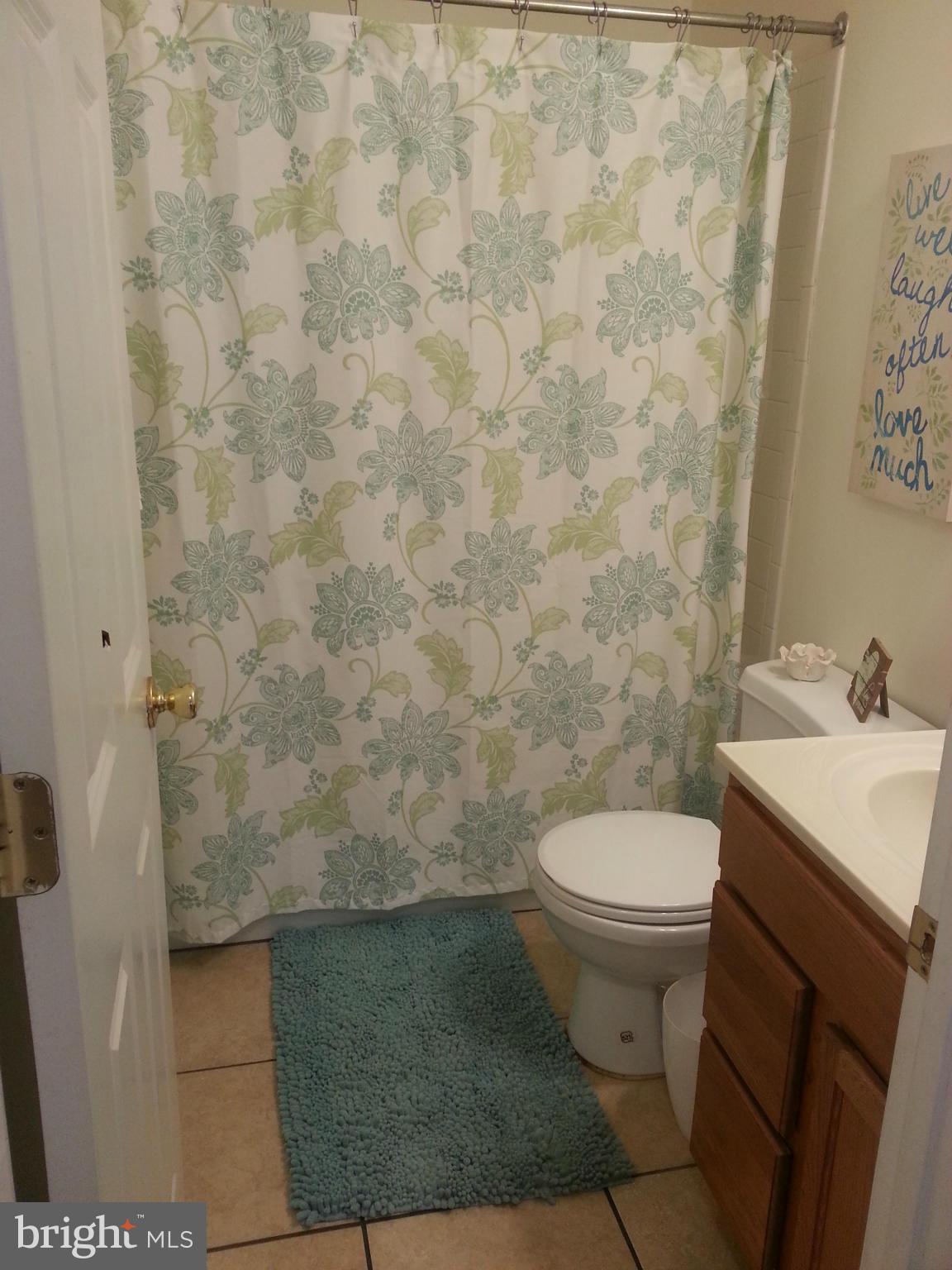 17610 Homewood Road Hagerstown, MD 21740 - Photo 21 of 26 Bath