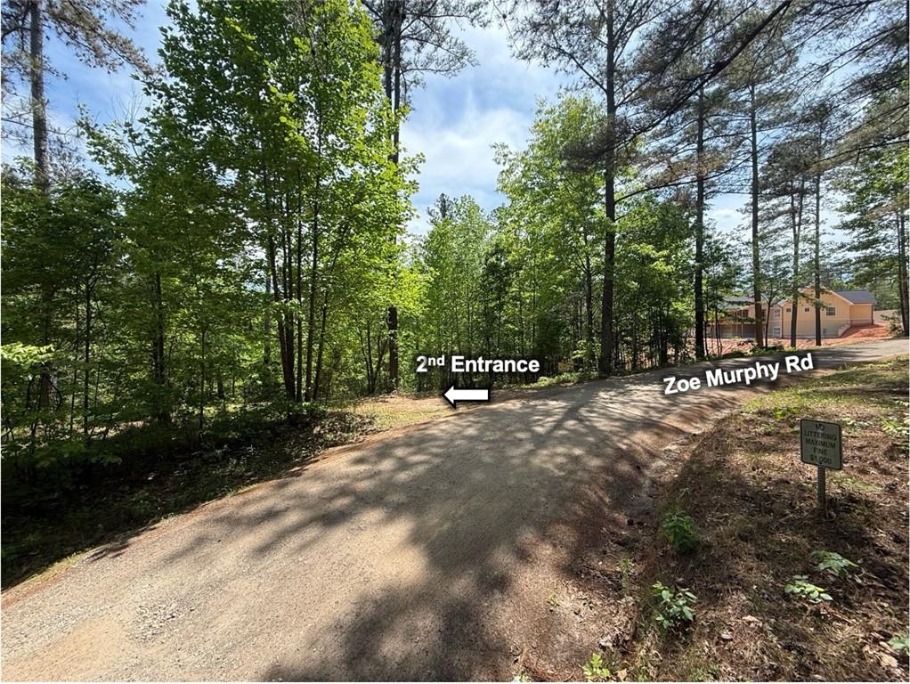 0 Zoe Murphy Road Dawsonville, GA 30534 - Photo 11 of 24