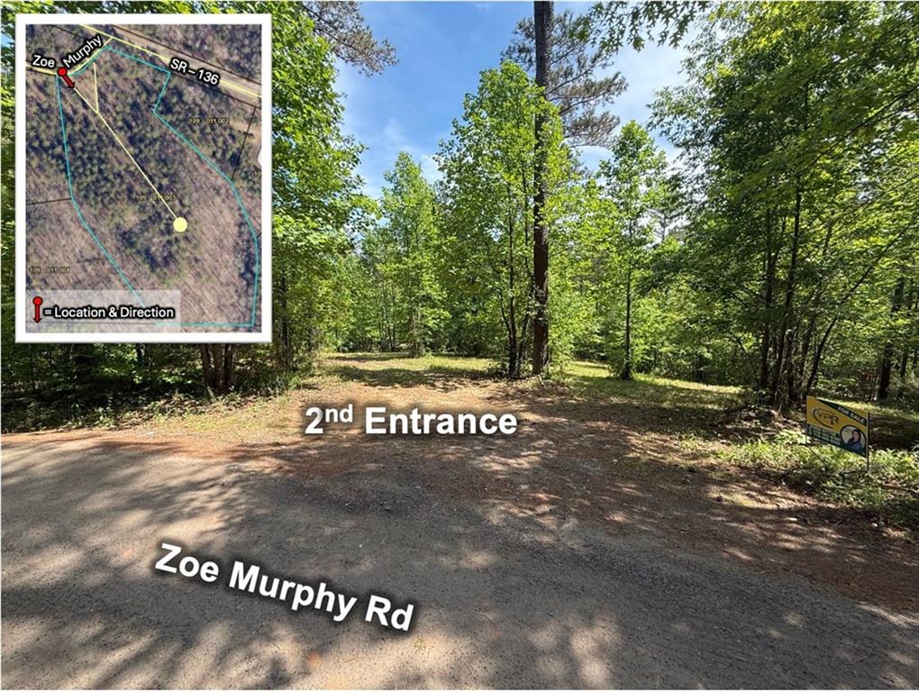 0 Zoe Murphy Road Dawsonville, GA 30534 - Photo 15 of 24