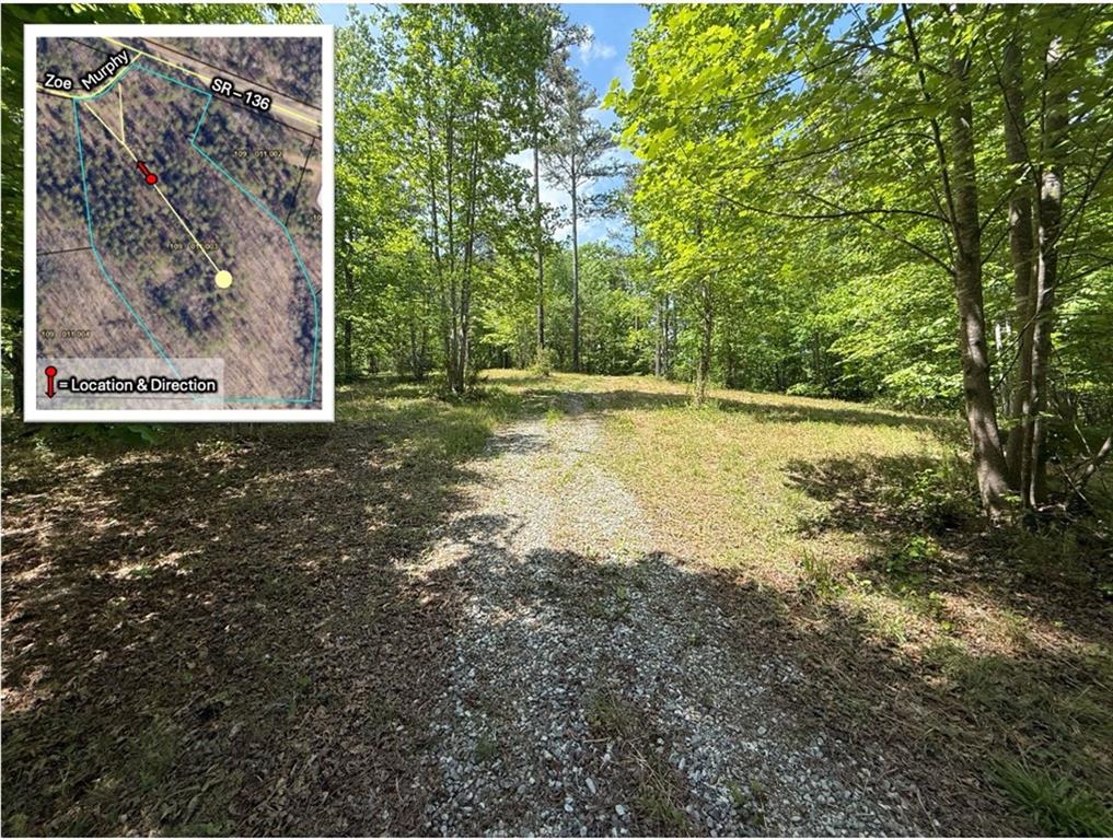 0 Zoe Murphy Road Dawsonville, GA 30534 - Photo 18 of 24
